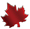 Canadian maple leaf